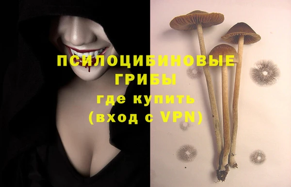 a pvp Алексин