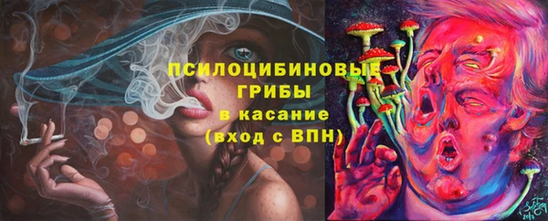 спиды Алзамай
