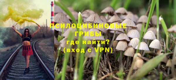 спиды Алзамай