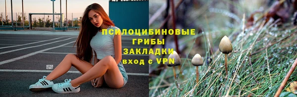 спиды Алзамай