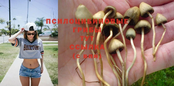 прущая мука Алексеевка